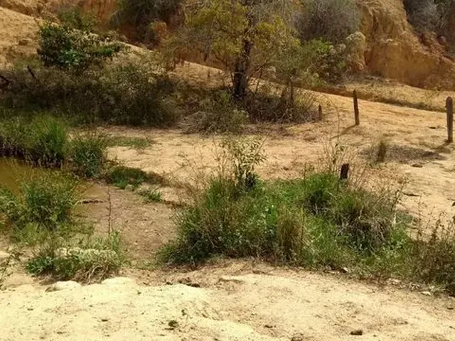 Imagem 2: Arrendo Área para Agricultura
