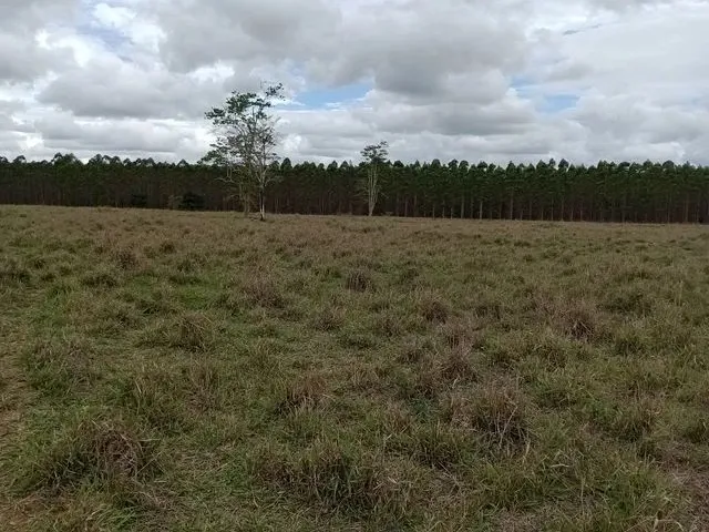 Imagem 6: Arrendo Área para Agricultura