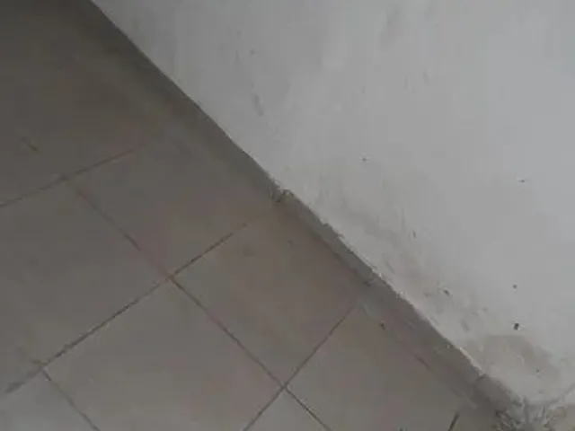 Imagem 2: Alugo Casa no Morro da Conceição