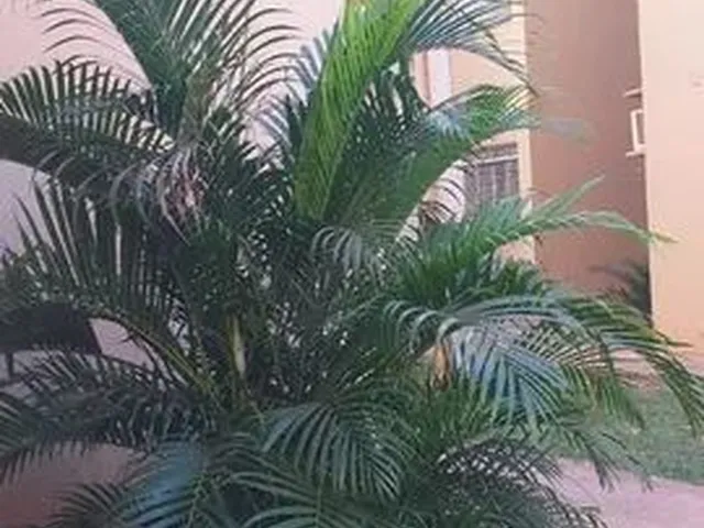 Imagem 13: Apartamento Condomínio Porto do Sol