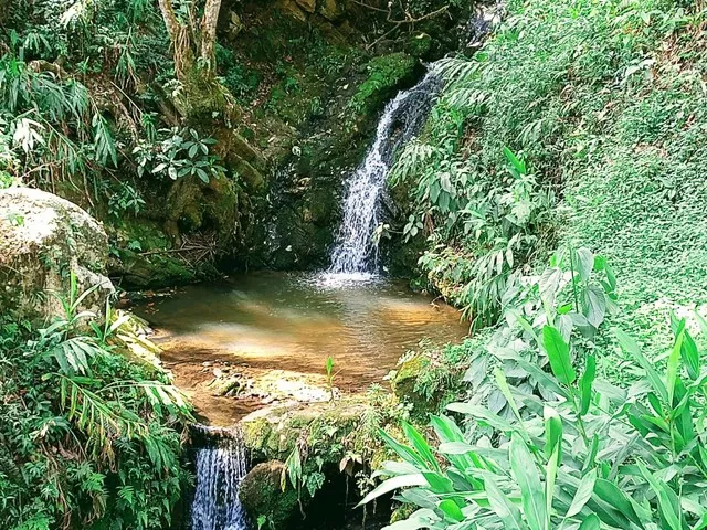 Imagem: Linda Chácara a Venda na Serra da Mantiqueira