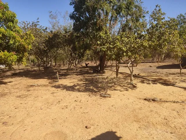 Imagem 3: Sítio 30 Hectares 41 Km de Buritis Mg
