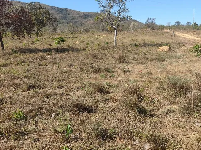 Imagem 12: Sítio 30 Hectares 41 Km de Buritis Mg
