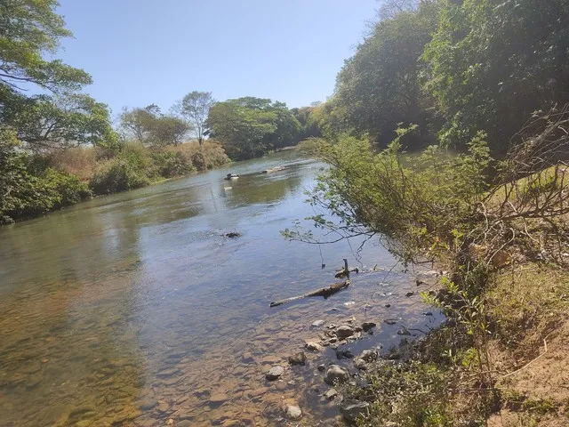 Imagem 7: Sítio 30 Hectares 41 Km de Buritis Mg