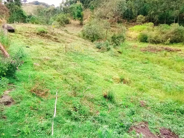 Imagem: Ótima Chácara na Serra da Mantiqueira