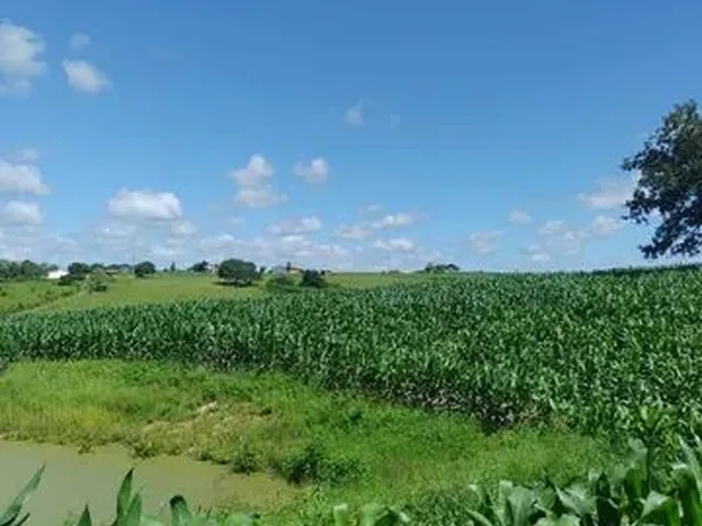 Imagem 1: Sítio Excelente em Nossa Senhora Aparecida