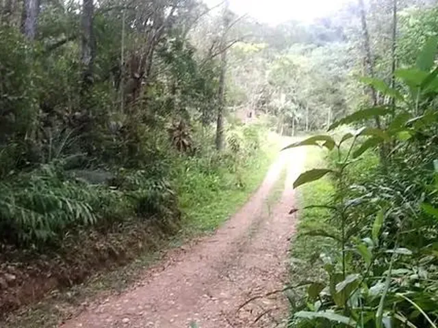 Imagem: Sitio de 5 Alq, Doc Ok!! a 3Km do Centro