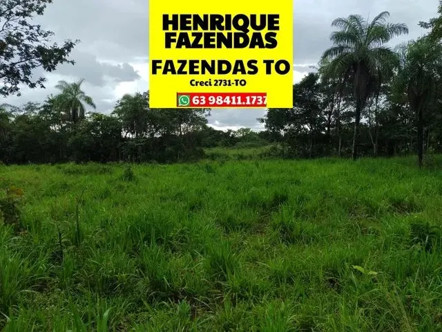 Imagem: Propriedade de 25 Alqueires, 125 Hectares