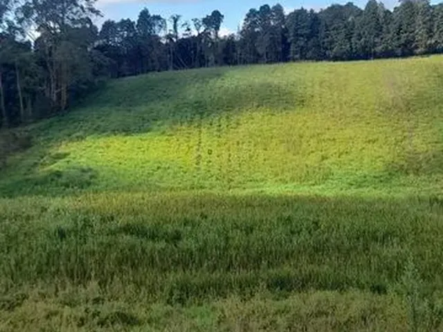 Imagem: Viva a Natureza Terreno de 500M²