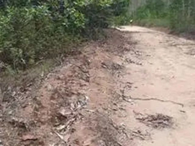 Imagem: Terreno no Porto Grande