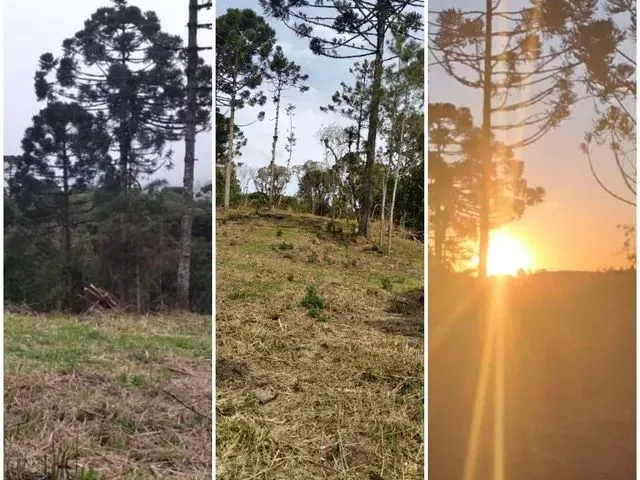 Imagem: Ev.melhor Investimento da Sua Vida !