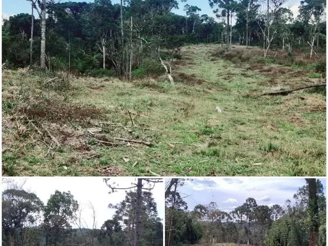 Imagem: Eva. Ótima Localização