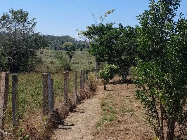 Imagem: Vendo Esta Chácara Lei a Descrição