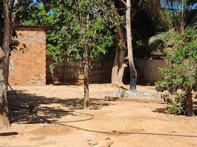 Imagem 6: Vendo Esta Chácara Lei a Descrição