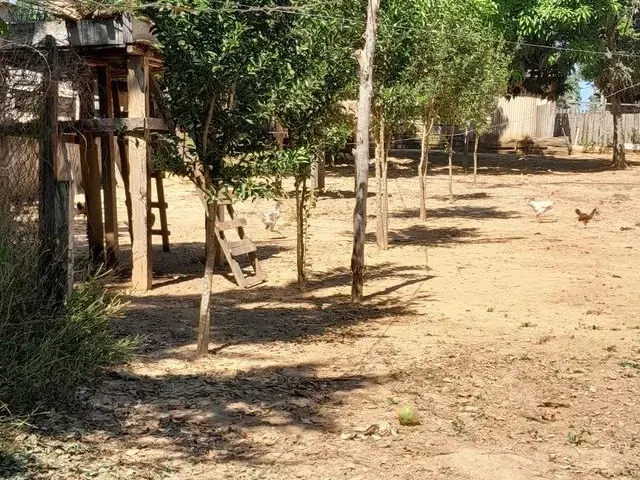 Imagem 8: Vendo Esta Chácara Lei a Descrição