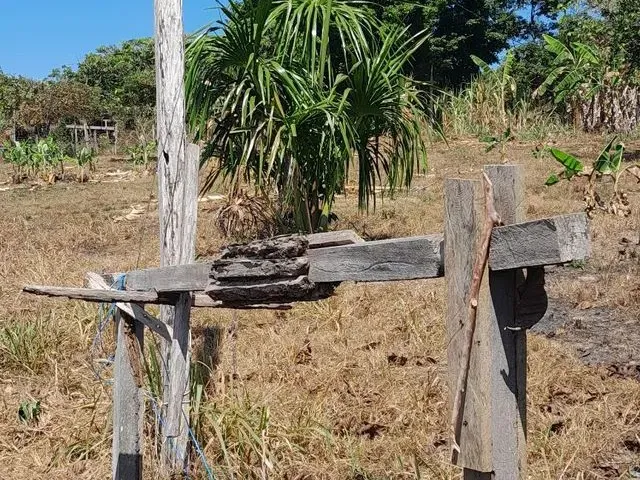 Imagem 7: Vendo Esta Chácara Lei a Descrição