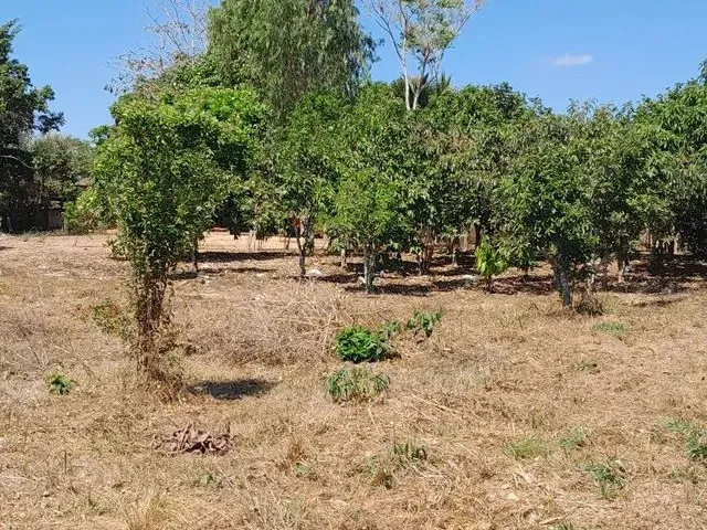 Imagem 9: Vendo Esta Chácara Lei a Descrição