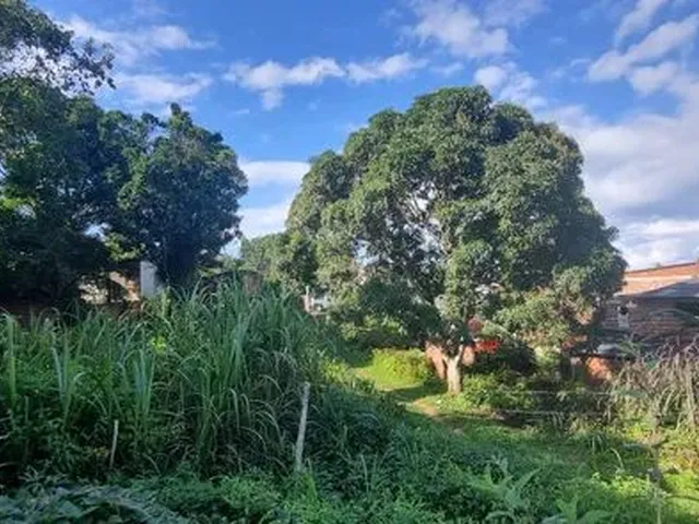 Imagem: Terreno no Bairro Novo em Serra Grande