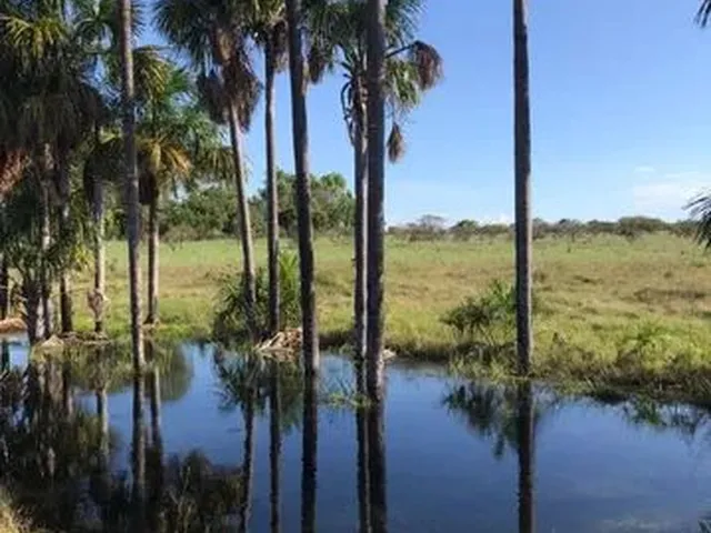 Imagem: Vendo Terreno no Auau !Oferta