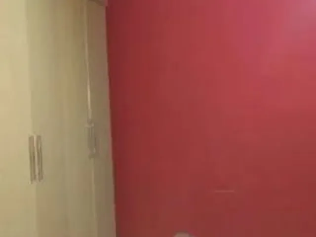 Imagem 11: Pelotas - Casa Padrão - Fragata