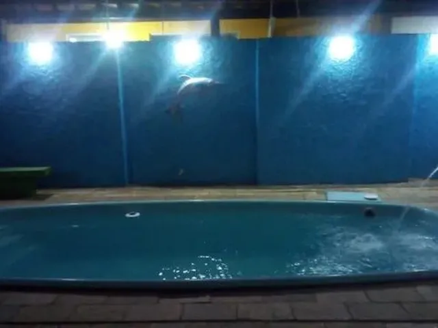 Imagem: Casa com Piscina e 3 Suítes em Capim Macio