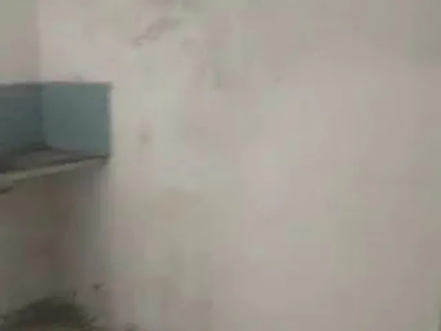 Imagem: Casa pra Alugar