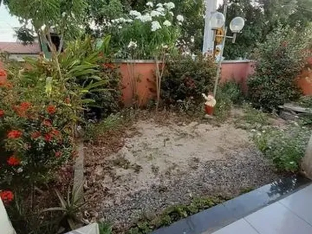 Imagem 2: Alugo Ótima Casa na Av H. 650