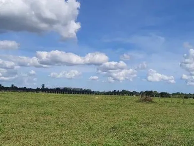 Imagem: Sitio Chacara Fazenda Conceicao Jacuipe