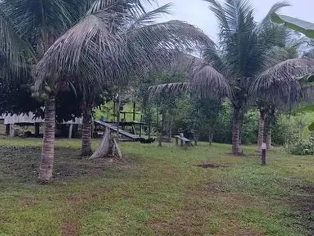 Imagem: A fazenda possui 100m² de Área e está localizado em