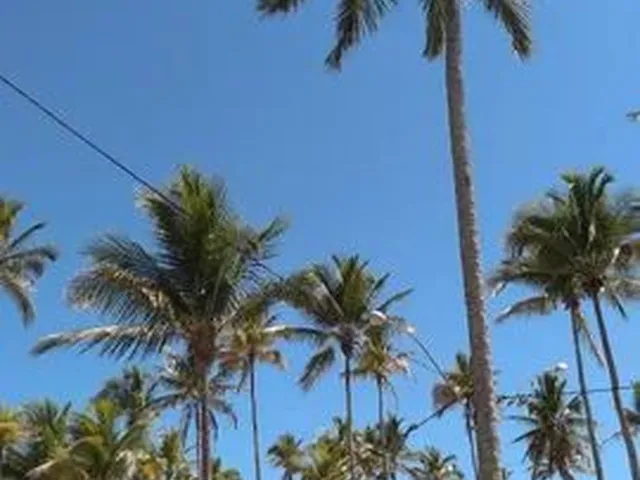 Imagem 14: Casa de Praia em Canavieiras