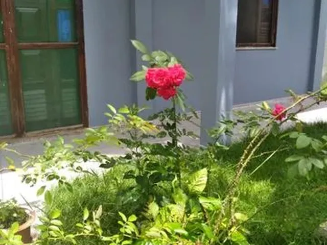 Imagem 4: Casa de Praia em Canavieiras