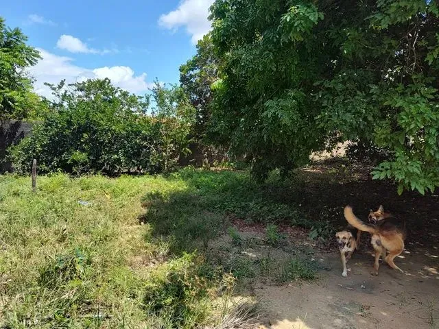 Imagem: Terreno Apto a Financiar, 1.498M² - Aeroporto