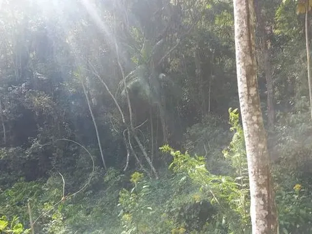 Imagem 8: Sitio Domingos Martins 100 Mil