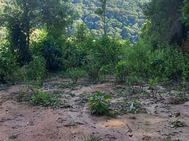 Imagem 10: Sitio Domingos Martins 100 Mil