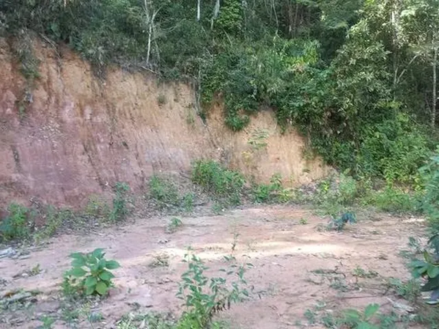 Imagem 6: Sitio Domingos Martins 100 Mil