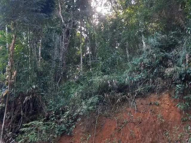 Imagem 9: Sitio Domingos Martins 100 Mil