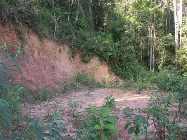 Imagem 2: Sitio Domingos Martins 100 Mil