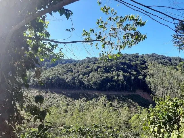 Imagem 4: Sitio Domingos Martins 100 Mil