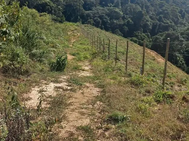 Imagem 5: Sitio Domingos Martins 100 Mil