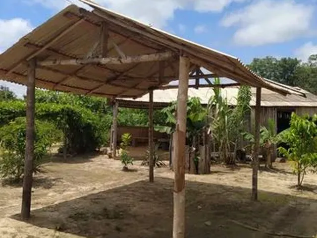 Imagem: Vende-Se Este Sítio (Br 319/Km27 Linha