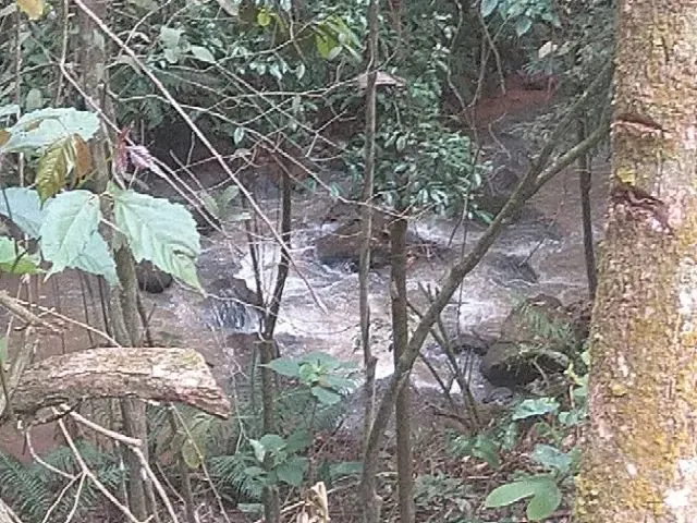 Imagem: 3 Hect Apenas 4 Km do Centro de santa Maria