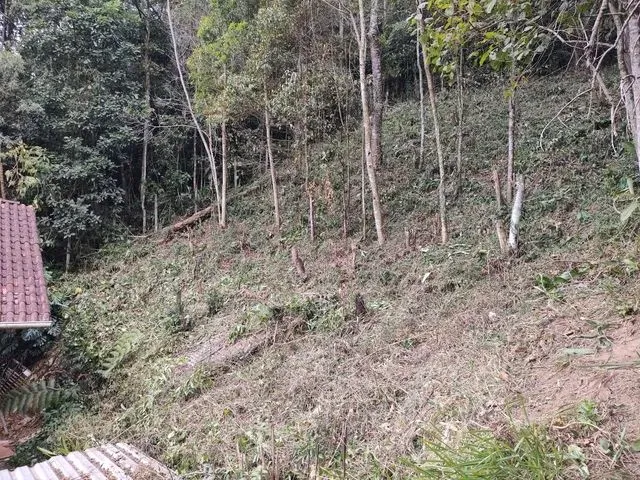 Imagem 1: Terreno C/393M² e Escritura!