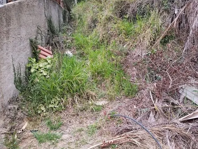 Imagem 4: Terreno C/393M² e Escritura!
