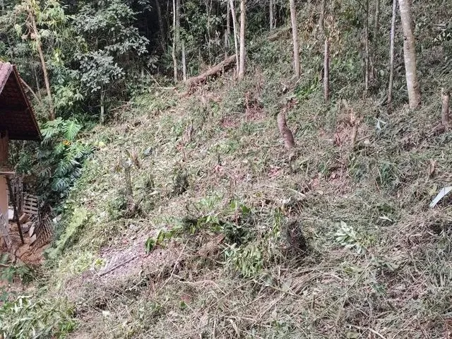 Imagem 3: Terreno C/393M² e Escritura!
