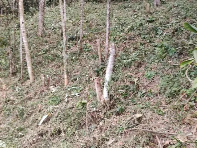 Imagem 2: Terreno C/393M² e Escritura!