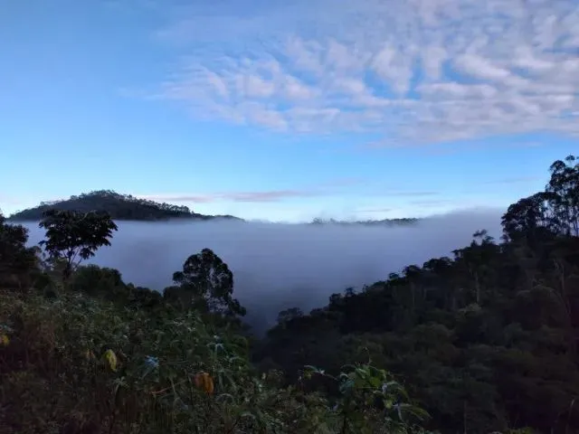Imagem: 7,2 Hect. Na Ilha Berger 5 Km Centro santa