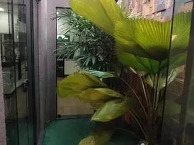 Imagem 3: Casa À Venda, 2 Quartos, 1 Suíte, 4 Vagas, Beijaflor - Uberaba/Mg