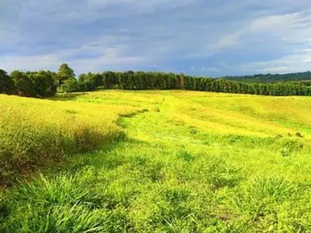 Imagem: Oportunidade Imperdível Terreno Espaçoso