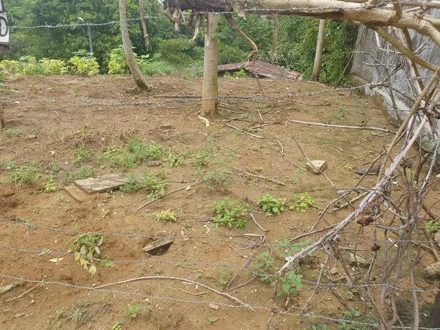 Imagem: Terreno com 300 Metros Quadrados