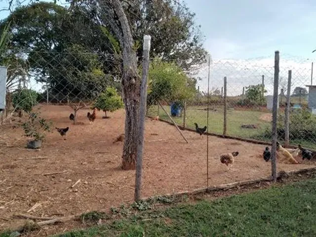Imagem 4: Vendo Chácara com 1500 M²